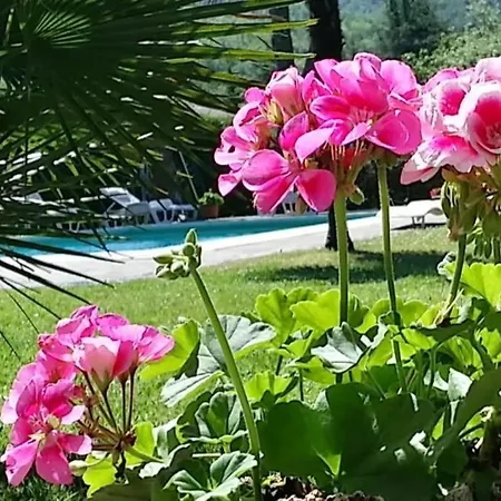 Holiday home Colli Verdi, Met Prive Zwembad & 5 Slaapkamers Dicht Bij Lucca En Pisa Monsagrati